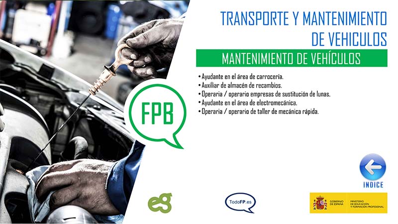 Transporte y mantenimiento de vehiculos - FP Grado Básico